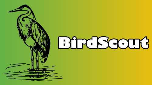 Prossimamente su BirdScout